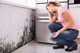 Best HVAC Mold Inspection and Cleaning  in USA